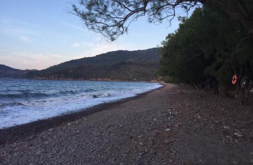 Skala Sykamineas Hotel | Gorgona Hotel