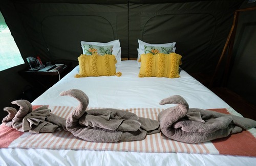 Sofala Other | Gorongosa Wild Camp