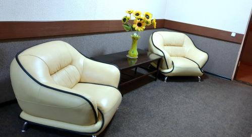 Temirtau Hotel | Gostinochyi Kompleks Hillary