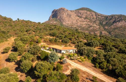 Sarrola-Carcopino Apartment | Gozzi Mandriolu