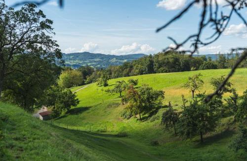 Rimbach Apartment | Grünewaldhof in Rimbach im Odenwald