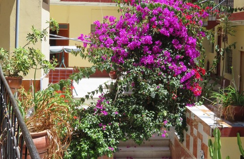 Abancay Hotel | Gran Hotel Abancay