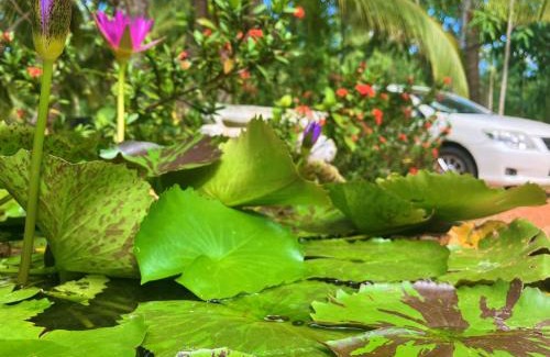 Anuradhapura Hostel | Grand Refuge Holiday Rooms