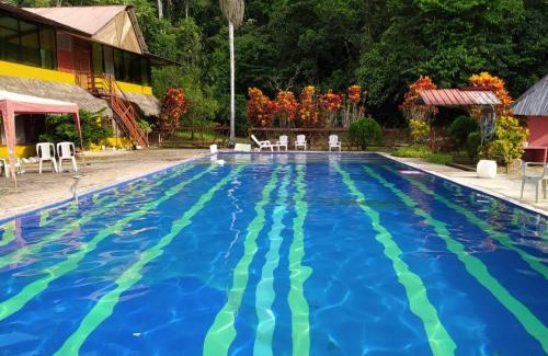 Puerto Misahualli Hostel | Grand Selva Lodge & Tours