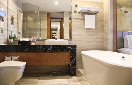Longhua District Hotel | Grand Skylight International Hotel Guanlan