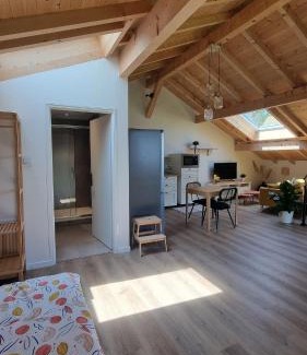 Sciez Apartment | Grand studio neuf avec vélos