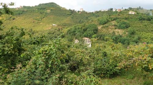 Trabzon Villa | Grand61 guest home