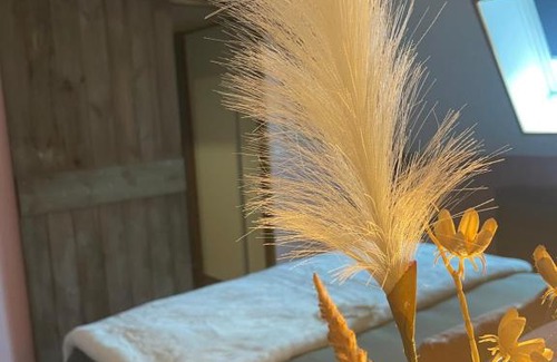 Saint-Amand-les-Eaux Bed & Breakfast | Grande chambre confortable
