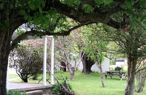 Dailey House | Grandma's guesthouse