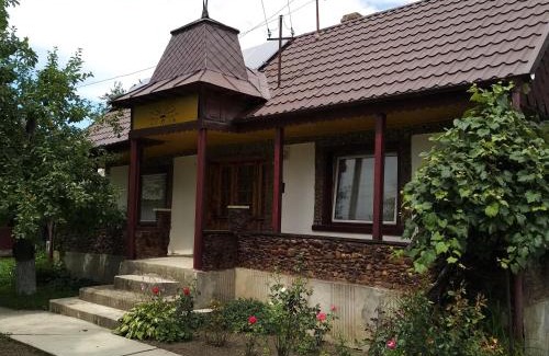 Miroslovesti House | Grandma's house/ Casa bunicii