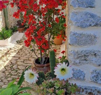 Areopoli House | Grandpa's home