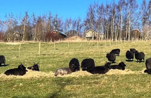 Sutton-in-Craven Other | Grange Beck Farm Glamping