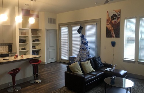 Addison Apartment | Great Cozy Pad ! Located central of dallas!