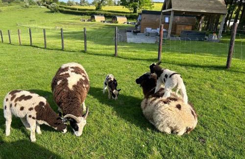 Erwood Other | Great House Farm Luxury Pods and Self Catering