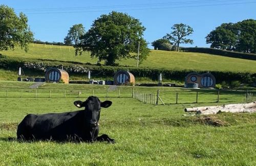 Erwood Other | Great House Farm Luxury Pods and Self Catering