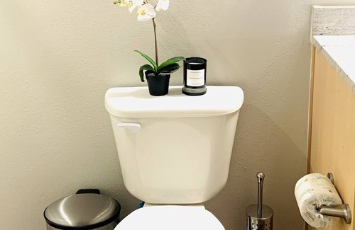 Carrollton Apartment | Great Place! Great Location!