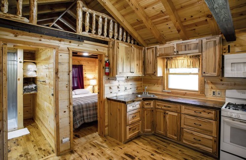 Buffalo City Cabin | Great River Road Cabin on the Mississippi Backwaters Eagle Cabin