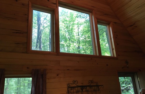 Friendsville Cabin | GREAT VALUE! The perfect cabin in the woods, 15 minutes away from Deep Creek.