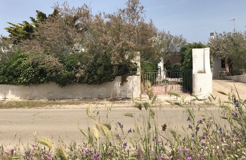 Torre San Giovanni Villa | Great villa in front of the Ionian Sea in the south Salento (Torre San Giovanni)