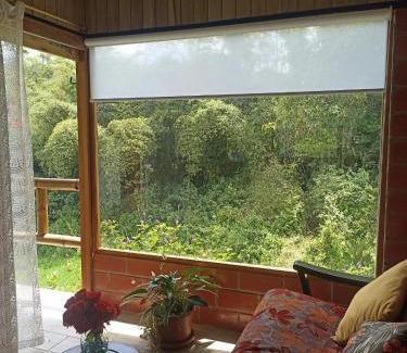 Ecuadorian Amazon Hotel | Green Bamboo Lodge