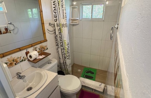 Ecuadorian Amazon Cabin | Green Bamboo Lodge