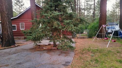 Peter Pan House | Green Cabin in Big Bear Lake 3 bdr Pets Friendly