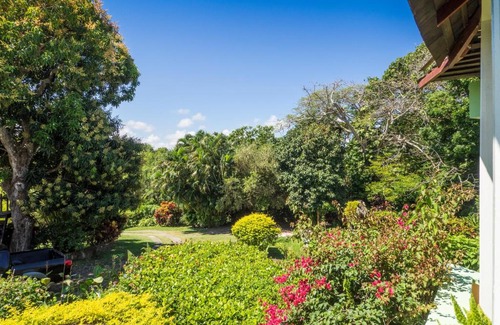 Robins Bay Cabin | Green Castle Eco Hotel - East of Ocho Rios and North KIngston