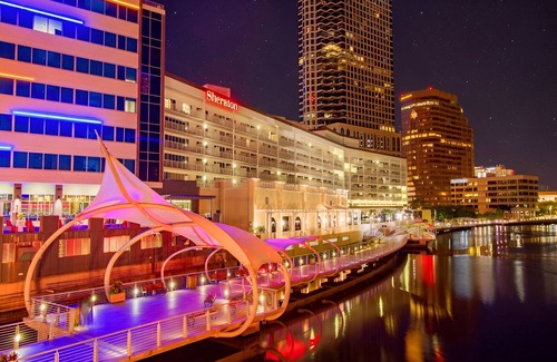 Town N County Park Apartment | Green Castle Suite in Tampa
