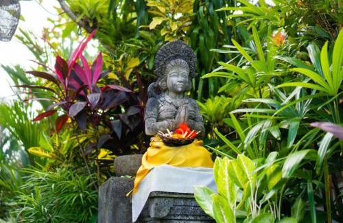 Mas House | Green Coconut Cottage