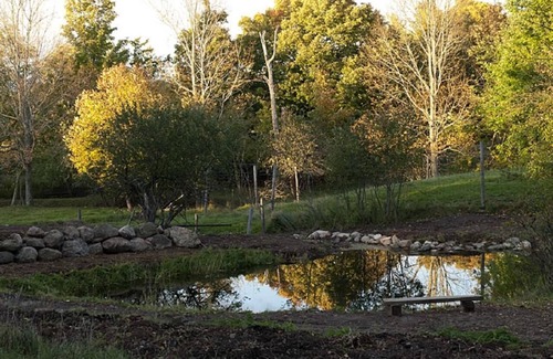 Balmoral Mills Bed & Breakfast | Green Dragon Organic Farm and B&B