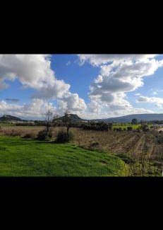 Kocasinan Other | Green farm Camping