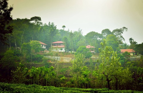 Vayittiri Villa | Green Garden Rose Villa - Double Bed Room Villa
