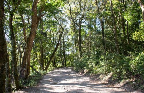 Monteverde House | Green Habitat