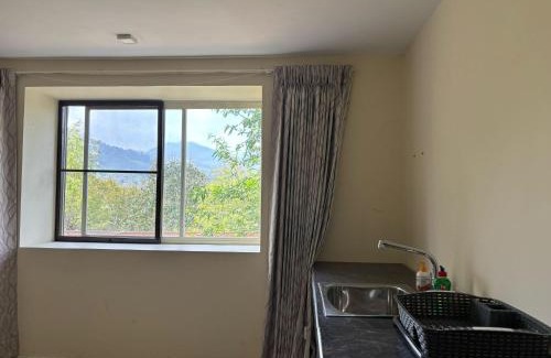 Wellington House | green home