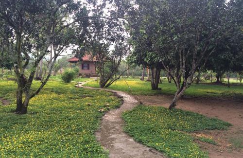 Nam Cat Tien Cabin | Green Hope Lodge