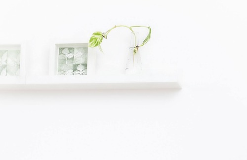 Cargiago Apartment | Green House
