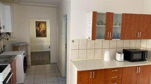 Roznava House | Green house