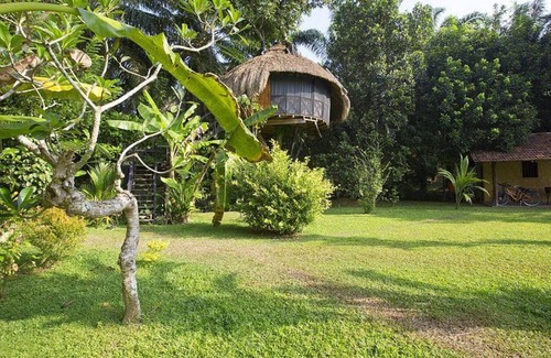 Halpatota Cabin | GREEN LODGE- PECHEES