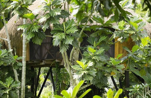 Halpatota Cabin | GREEN LODGE- PECHEES