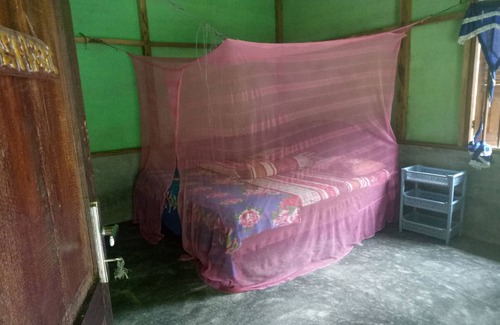 Batang Serangan Bed & Breakfast | Green Lodge Tangkahan