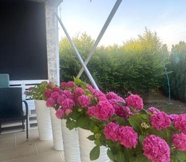 Stolniceni-Prajescu Apartment | Green Oasis