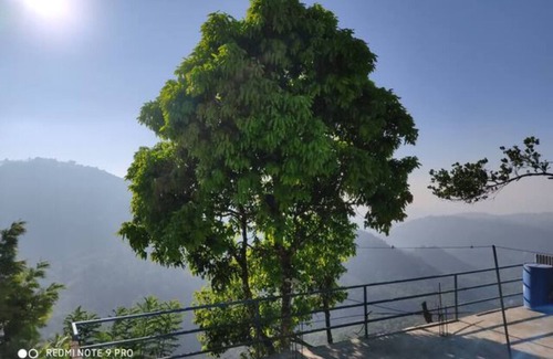 Pallivasal Cottage | Green Paradise Room-1