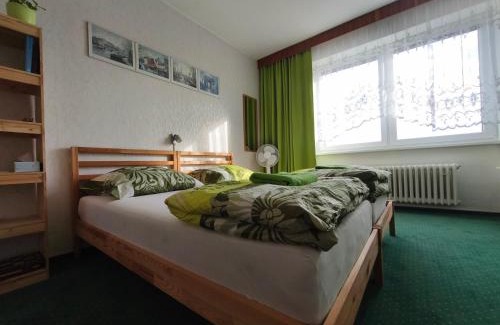 Mohelnice House | Green Room