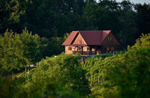 Bedenica Ski Chalet | Green silence