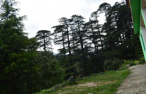 Khajjiar House | Green valley homestay