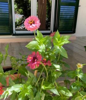 Sidari House | Green Yard Family Holiday Home Sidari Corfu