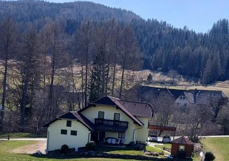 Sankt Peter am Kammersberg Apartment | Greimblick