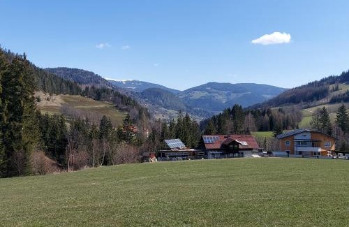 Sankt Peter am Kammersberg Apartment | Greimblick