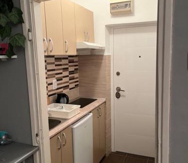 Banovo brdo Apartment | Grey