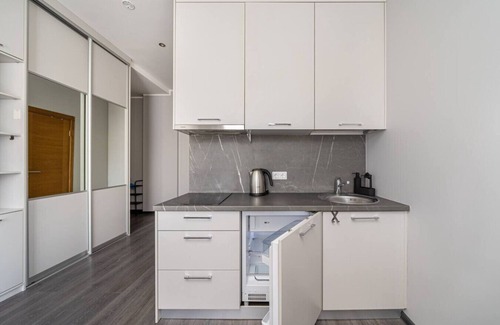 Grizinkalns Apartment | Grizinkalns studio with parking